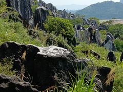 -玉石林风景区