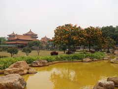 -广东圆玄道观