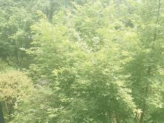 -燕春园中餐厅-北大博雅国际酒店