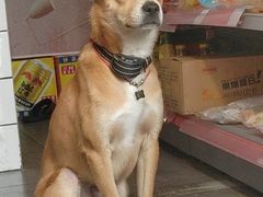 -合肥野生动物园