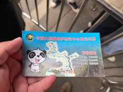 -都江堰中华大熊猫苑