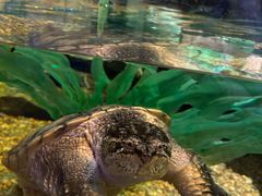 -沈阳海洋探索中心