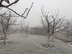 -南开大学滨海学院