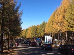 -塞罕坝国家级自然保护区