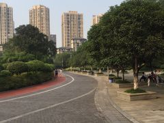 -龙头寺公园