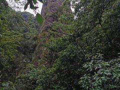 -龙湾潭国家森林公园