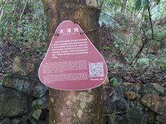 -四会奇石河风景区