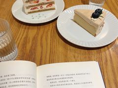 -猫里有甜