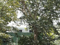 -徐家汇源景区-衡山公园
