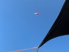 -春花秋色城市公园