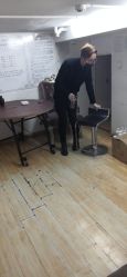 -爱维丽