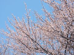 -国际非物质文化遗产博览园