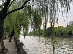 -信义坊码头
