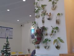 大堂-威克特披萨汉堡