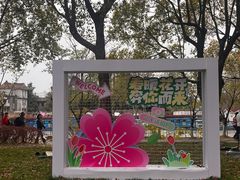 -高东镇樱花园