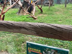 -杭州野生动物世界