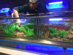 水产区-V-ONE西雅图海鲜自助餐厅(仓山万达广场店)