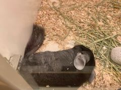 -龙猫仔乐园(惠福东路店)