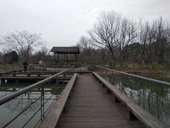 -西溪国家湿地公园