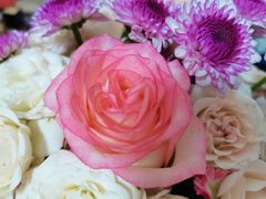 -循礼门鲜花花市(武汉循礼门店)