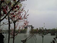 -上海鲜花港