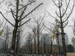 -百林公园-两江幸福广场