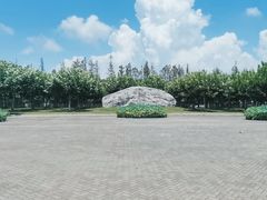 -上海海湾国家森林公园