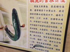 -龙记斑鱼庄