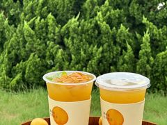 -裕莲茶楼(太古汇店)