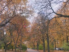-莫斯科大学