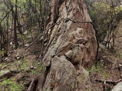 -大岭沟猕猴桃谷风景区