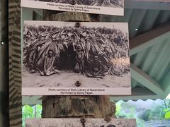 -热带雨林自然公园