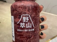 -野萃山·潮汕厚果汁(十亩地店)