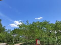 -塘沽森林公园