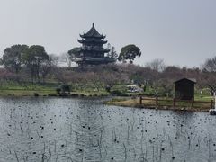 -上海海湾国家森林公园