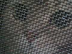 -瑞派福兴宠物医院犬猫全科·骨科·中西医结合(河东店)