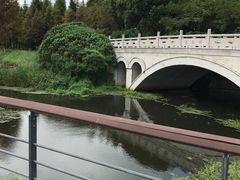 -贡湖湾湿地公园