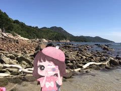 -南丫岛
