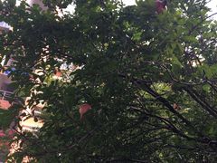 -中国计量大学(西校区)
