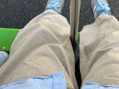 -合肥滨湖国家森林公园