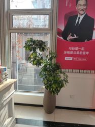 -爱儿美儿童摄影(五路居花园别墅店)
