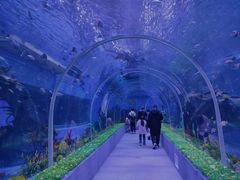 -石家庄极地海洋世界