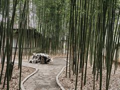 -柳侯公园