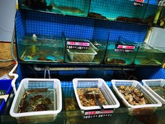 水产区-兆辉木炭海鲜烧烤·海鲜小炒