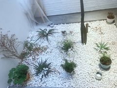 -禾康家蛋糕店