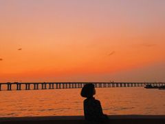 -宝安西湾红树林湿地公园