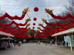 -东方绿舟景区