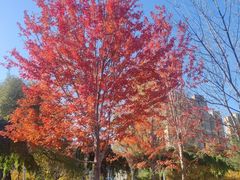 -长春公园(普阳街道)