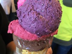 -Patagonia Chocolates(皇后镇店)