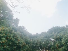 -晓雯人家